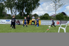 IMG_1956